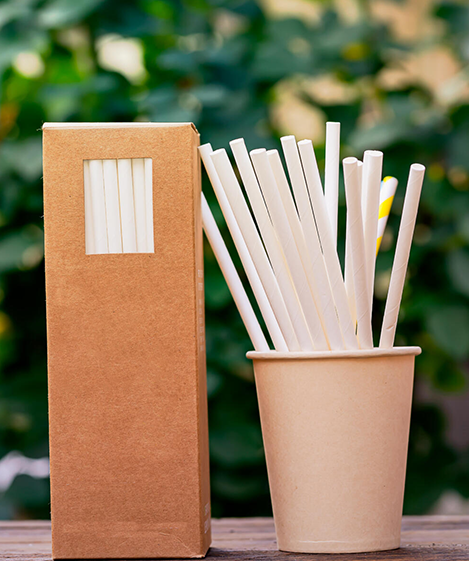Paper Straws